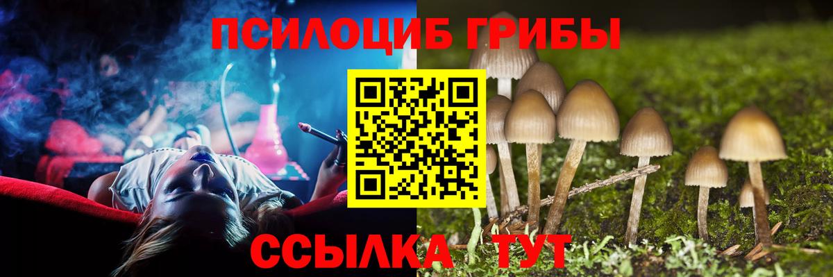 Галлюциногенные грибы GOLDEN TEACHER Арзамас